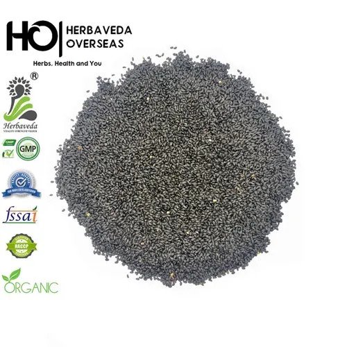 Sabja Sweet Basil Tukmaria Seed - Organic Herbal Grade, Highly Pure Herb Seeds | Ideal for Culinary and Medicinal Uses