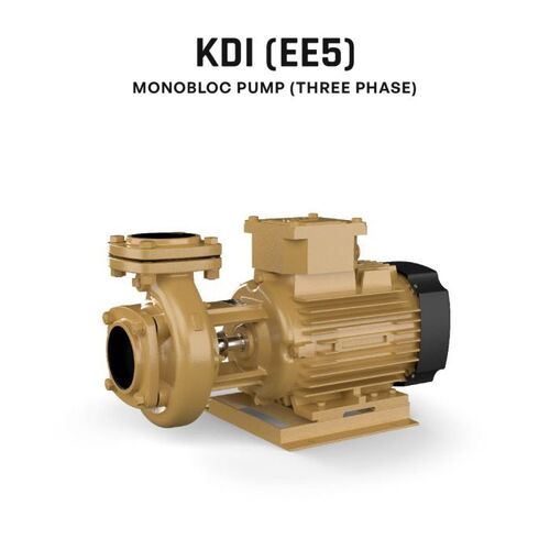 Three Phase Monoblock Pump - Application: Cryogenic