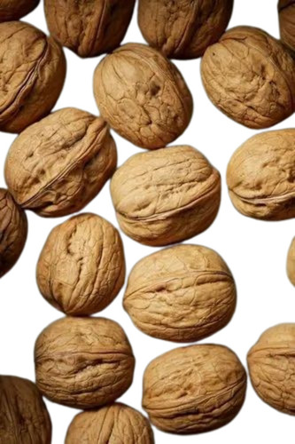 A Grade Walnut - Fresh Organic Quality in Loose Packet Form | Brown Variety with Shell, 6 Months Shelf Life