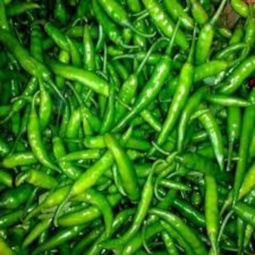 Fresh Green Chilli - A Grade, Chopped, Common Shape | Long Shelf Life, Fresh, Rich Taste, Ideal for Cooking