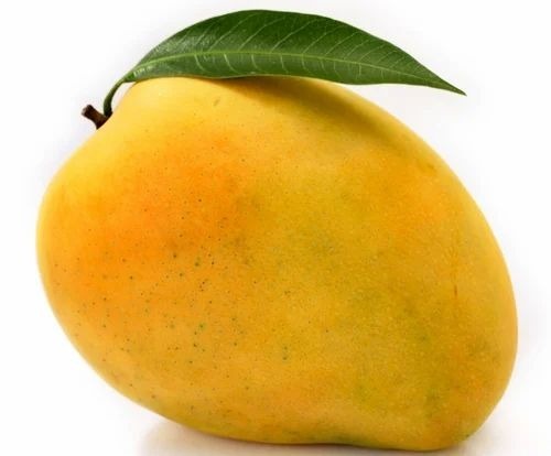 Fresh Mango - A Grade, Whole Fruit, Sweet Taste, Yellow Color, Common Cultivation
