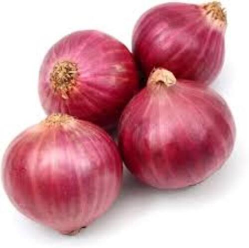 Indian Red Onion