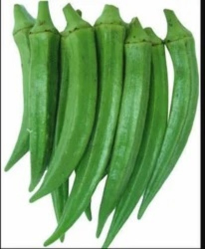 Lady Finger