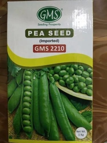 Pea Seed