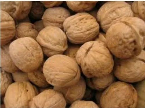 Regular Walnut - Fresh Organic, FSSAI Certified Packet | Brown Color, 6 Months Shelf Life, Sourced from India