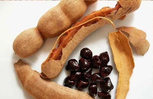 Tamarind - A Grade, Fresh Quality Cooking Spice | Brown Color for Authentic Flavor in Culinary Dishes