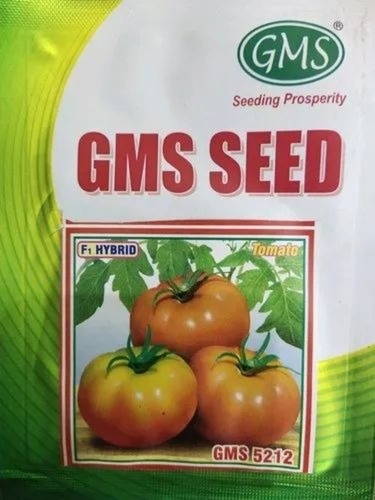 Tomato Seeds - GMS-5212 Natural Variety | Green 1 kg, 100% Purity, A Grade Vegetable Seeds, Hybrid 1 Cultivation Type