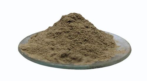 Amla Extract Powder