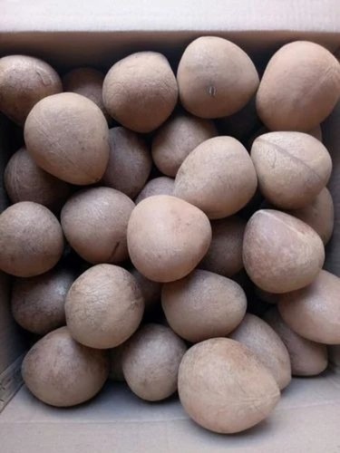 Dry Coconut - A Grade, Fresh Dry Coconuts | Brown Color, Common Cultivation, Dried Style, Ideal for Cooking