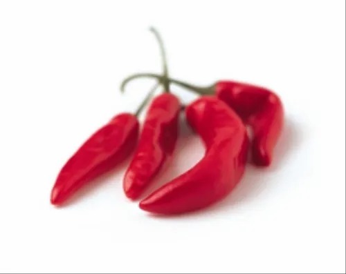 Dry Red Chilly - A Grade, Fresh Cooking Spice | Red Color, Spicy Taste, Store in Cool and Dry Place