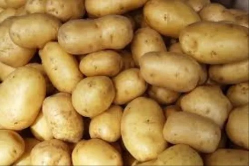 Fresh Potato - A Grade, Fresh Quality in Optimum Condition | Chopped Style, Common Shape for Cooking