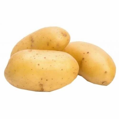 Fresh Potatoes - A Grade, Optimum Fresh Quality | Chopped Processing Form, Common Shape, Cooked Style