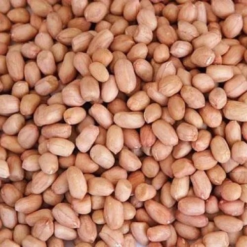 Ground Nuts - A Grade, Fresh | Brown Color, Common Cultivation Type, Excellent Quality for Culinary Applications