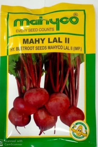 Beetroot Hybrid Seeds - 10 Grams Packet, Blood Red Color | Natural Cultivation, Grade A, 100% Purity, Vegetable Seeds