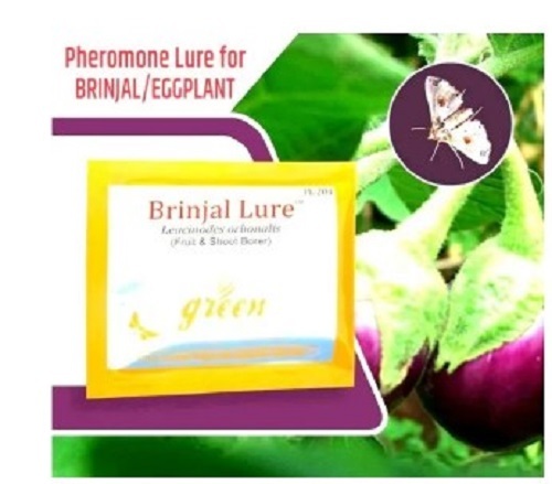 Brinjal Fruit And Shoot Borer Lure - Plastic Manual Power Source Yellow Color | Easy to Install Quality Tested Agriculture Insecticide Trap