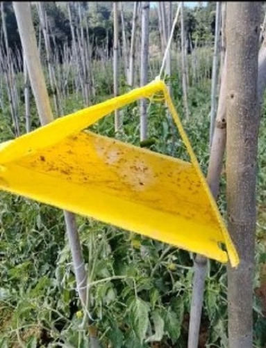 Delta Trap - Plastic Manual | Easy to Install Plain Design Tested on Quality Parameters Committed Delivery Timeline