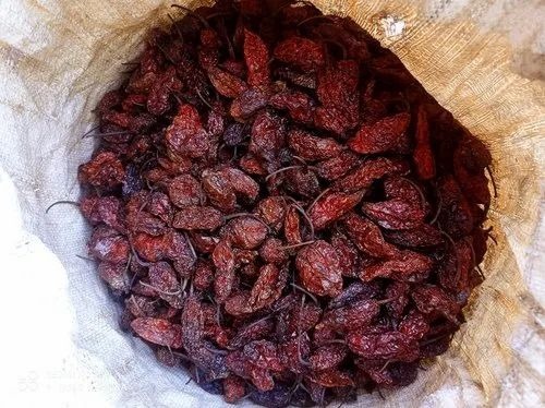 Dry Gost Chilli - Dried Cooking Spice | Red Color, A Grade, Spicy Taste, Store in Cool and Dry Place, Ideal for Culinary Applications