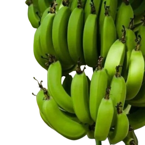 Fresh Banana - Organic Green Bananas | Fresh, Food Grade A, Whole, Common Shape, Optimum Quality