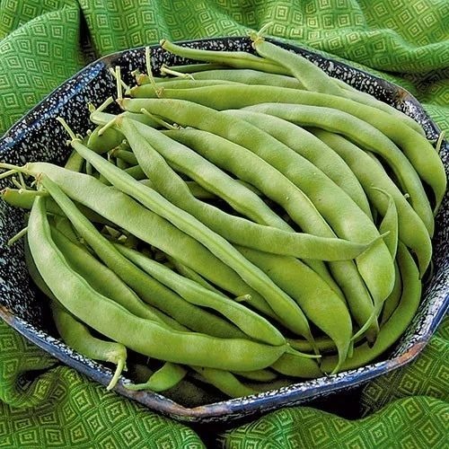 Fresh Beans - A Grade Organic Fresh Vegetables | Chopped, Cooked, Common Shape, No Artificial Flavour