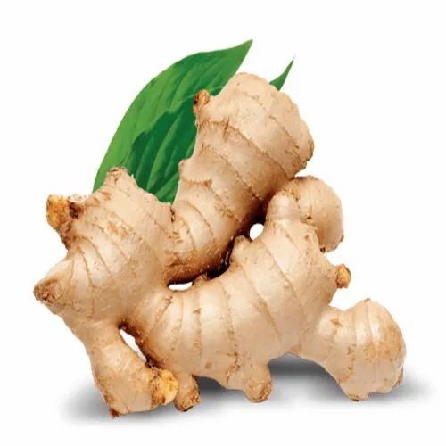 Fresh Ginger - A Grade, Fresh Quality Vegetable | Chopped, Common Shape, Cooked Style