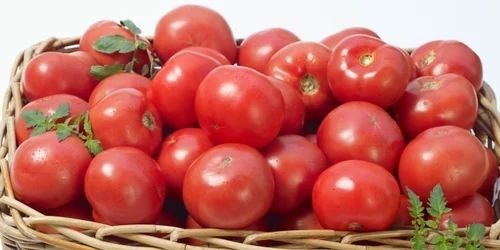 Fresh Tomatoes - Cooking Grade A, Chopped Fresh Vegetables | Optimum Quality, Common Shape, Cooked Style