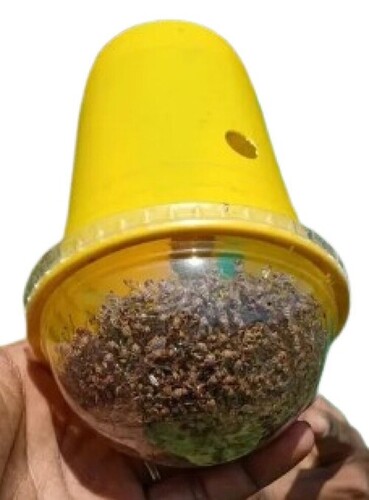 Fruit Fly Pheromone Trap - Plastic, Yellow, New | Manual Power Source, Tested for Quality, Effective Agriculture Insecticide Solution