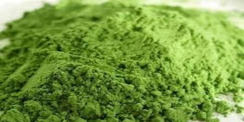 Herbal Wheat Grass Powder