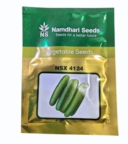 Hybrid Cucumber Seed - Hybrid, 10 Gram Packet, Green | In Organic, 100% Purity, Natural Cultivation, Grade A Vegetable Seeds