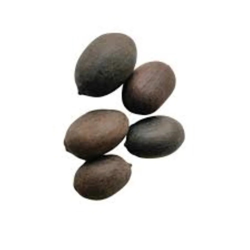 Lotus Seed Kamal Gatta - Herbal Grade, Hybrid 1, Highly Pure Herbs Seeds | Premium Quality, Nutrient-Rich Organic Seeds