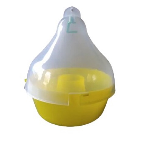 Mac Phill Plus Fruit Fly Trap - Plastic, Manual Power Source, Agriculture Insecticide Trap | Plain Pattern, Easy to Fix, Crack Resistance, Quality Tested