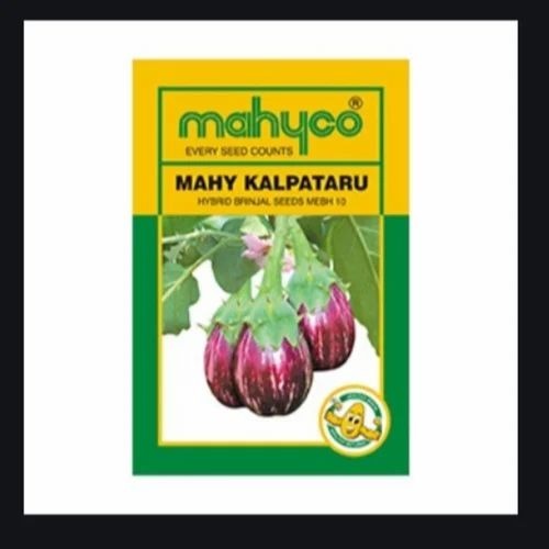 Mahy Kalpatru Brinjal Seeds - Hybrid, 10 Gram Packet, Purple Color | 100% Purity, Natural Cultivation, Grade A Vegetables Seeds