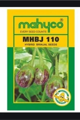 Mhbj 110 Brinjal Seeds - 10 Gram Green Hybrid Vegetable Seeds | A Grade Purity: 100% Cultivation Type: Natural Quality: In Organic