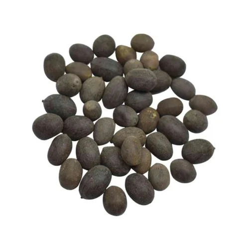 Nelumbo Nucifera Lotus Seeds - Highly Pure Herbal Grade, Hybrid Type - Premium Quality Kamal Gatta Herb Seeds