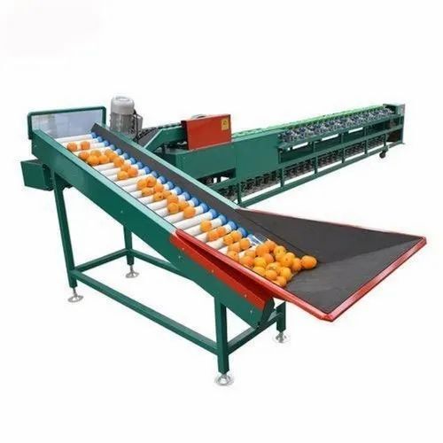 Orange Grading Machine