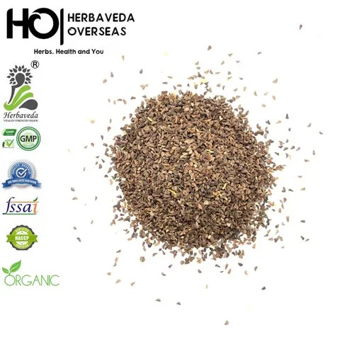 Peganum Harmala Esfand Wild Rue Syrian Rue Herbs Seeds - Hybrid Herbal Grade Seeds | Highly Pure Herbal Seed Type