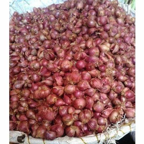Pink Onion - Fresh Grade A Organic Vegetables | Chopped Processing Form, Common Shape, Cooked Style