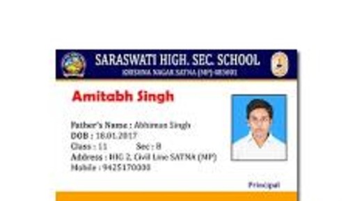 Plastic School Id Card - Application: Access Control