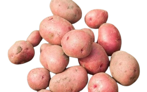 Red Potato - Organic, Loose Pack, A Grade | Chopped Form, Common Shape, Cooked Style, 2 Month Shelf Life