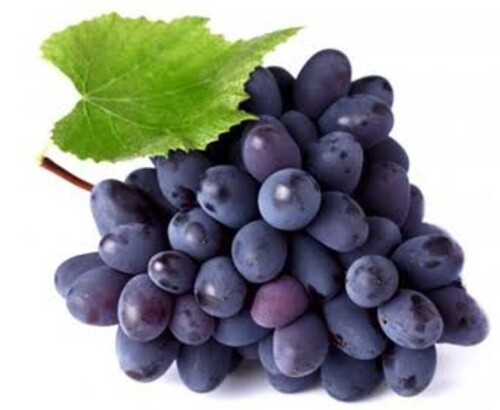 Black Grapes - Cultivation Type: Open Air