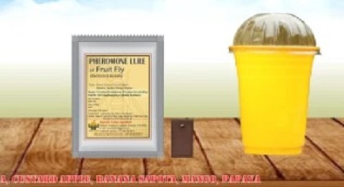 Fruit Fly Pheromone Lure - Plastic Material, Manual Power Source | New Smooth Functioning, Resistant to Cracks, Tested for Quality, Timely Delivery