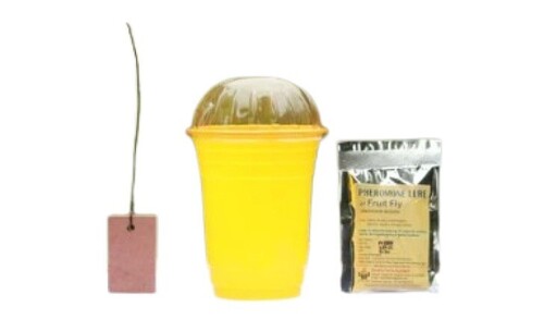 Fruit Fly Pheromone Lure Trap - Plastic Material, Manual Power Source | Agriculture Insecticide Trap, Efficient Resistance to Cracking