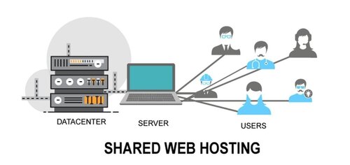 Website Hosting 