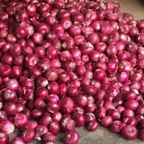 Fresh Onions - Fresh A Grade Chopped Vegetables | Common Shape, Cooked Style, Optimum Quality