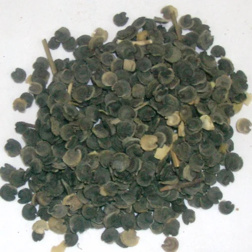 Herbal Seeds