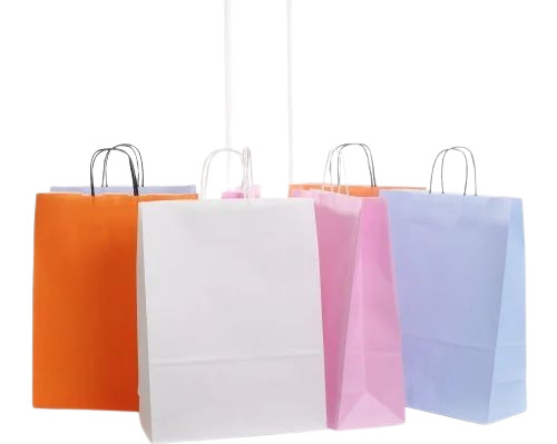Multicolor Paper Bags - Plain Design | Biodegradable, Moisture Proof, Recyclable, Rope Handle