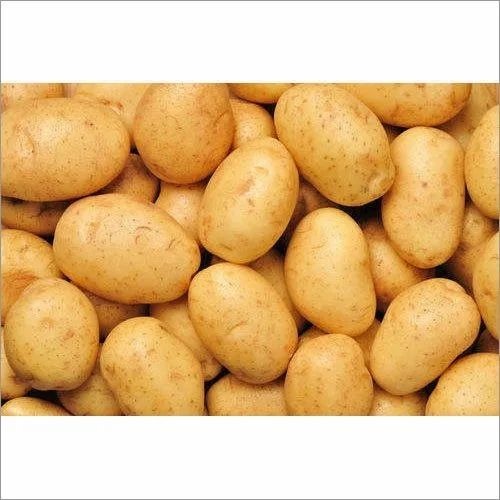 3797 Potato - 50 kg A Grade Fresh Vegetables, Chopped Processing Form, Common Shape, Cooked Style | Optimum Quality, Cold Storage Recommended