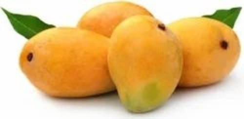 alphonso mangoes