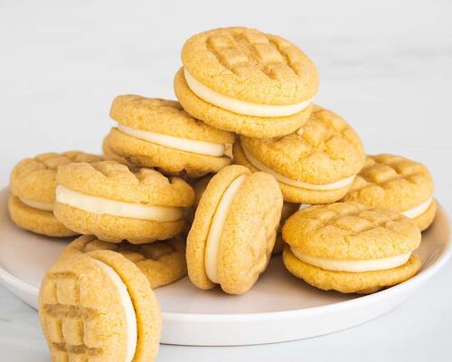 biscuit 