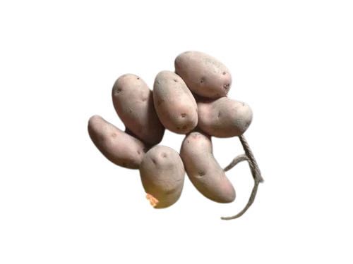 Cardinal Potatoes - Fresh A Grade Vegetables | Cooked Style, Common Shape, Chopped Processing Form, Optimum Quality