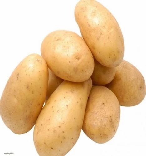 Chipsona Potato - Fresh Vegetables, A Grade, Cooking Style: Cooked, Common Shape, Processing Form: Chopped | Optimum Quality, Fresh Condition